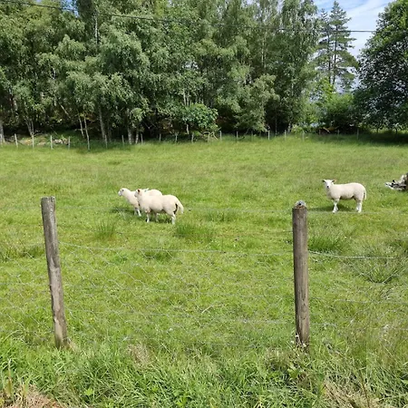 Seaside * Hjelmeland