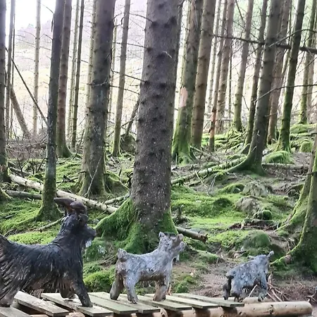 Seaside * Hjelmeland